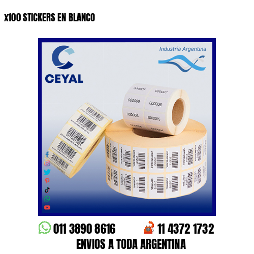 x100 STICKERS EN BLANCO