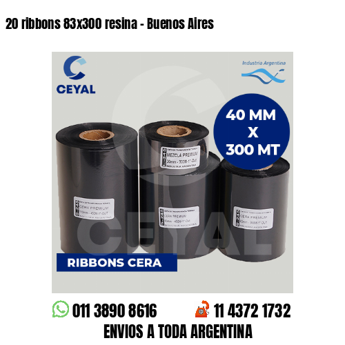 20 ribbons 83×300 resina – Buenos Aires