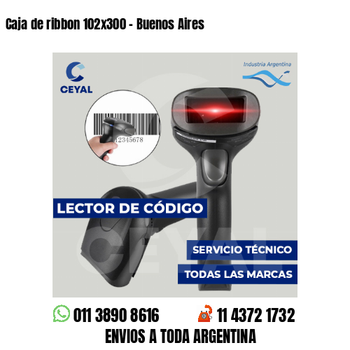 Caja de ribbon 102x300 - Buenos Aires