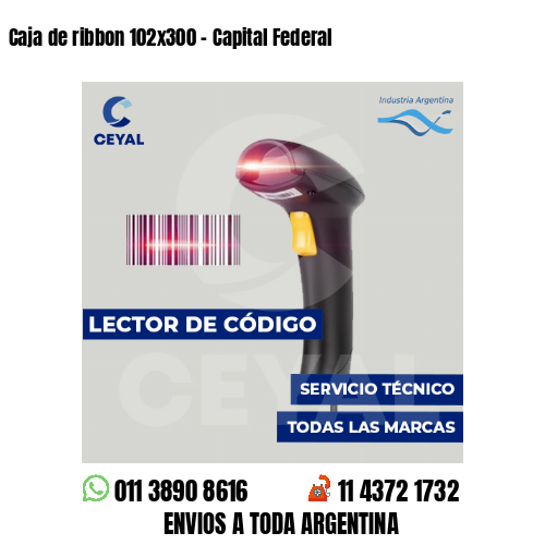 Caja de ribbon 102x300 - Capital Federal