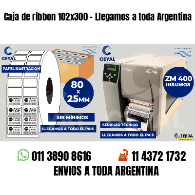 Caja de ribbon 102x300 - Llegamos a toda Argentina