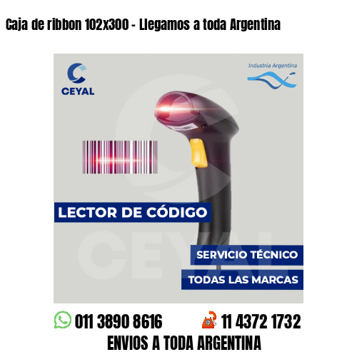 Caja de ribbon 102x300 - Llegamos a toda Argentina