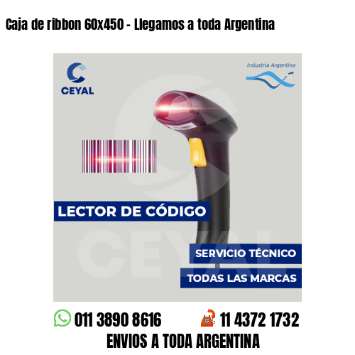 Caja de ribbon 60x450 - Llegamos a toda Argentina