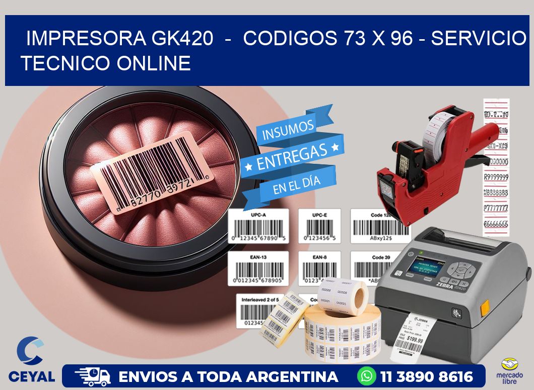IMPRESORA GK420  -  CODIGOS 73 x 96 - SERVICIO TECNICO ONLINE