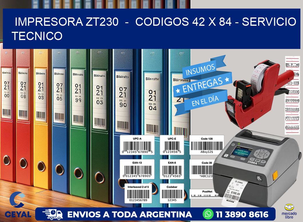 IMPRESORA ZT230  -  CODIGOS 42 x 84 - SERVICIO TECNICO