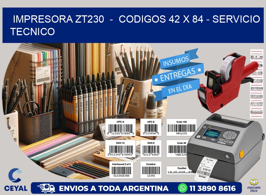 IMPRESORA ZT230  -  CODIGOS 42 x 84 - SERVICIO TECNICO