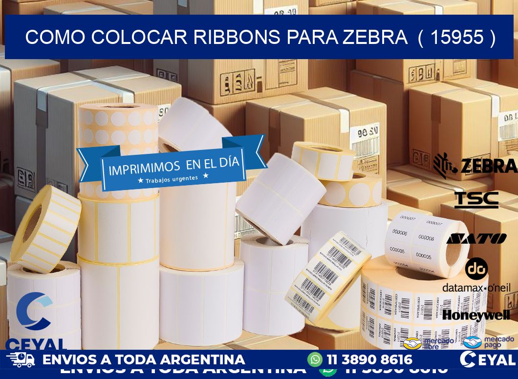 COMO COLOCAR RIBBONS PARA ZEBRA  ( 15955 )