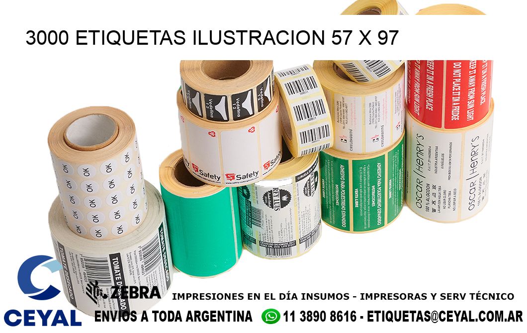 3000 ETIQUETAS ILUSTRACION 57 x 97