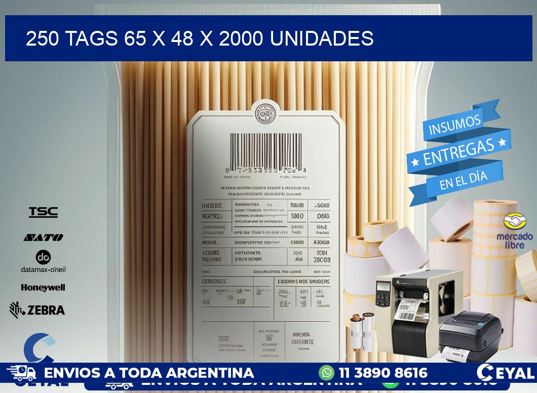 250 TAGS 65 x 48 X 2000 UNIDADES