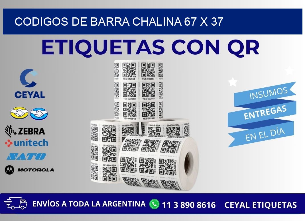 CODIGOS DE BARRA CHALINA 67 x 37