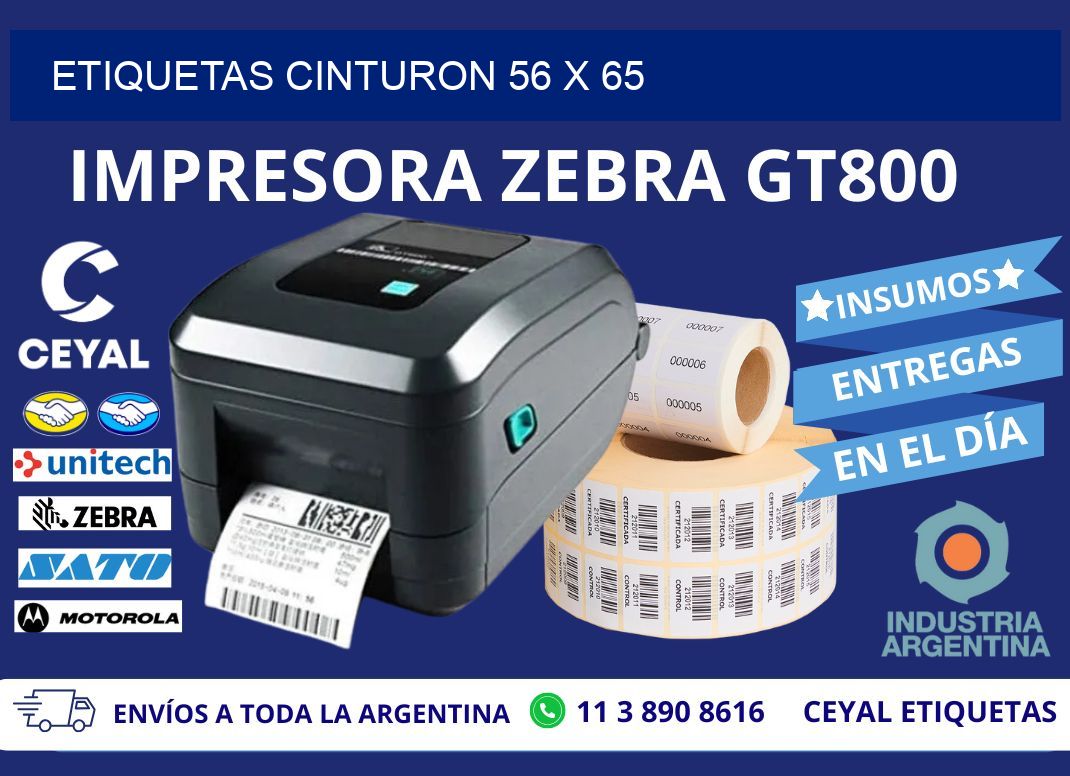 ETIQUETAS CINTURON 56 x 65